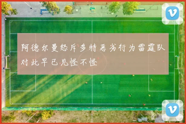 阿德尔曼怒斥多特恶劣行为雷霆队对此早已见怪不怪