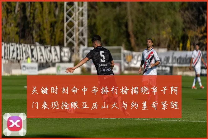 关键时刻命中率排行榜揭晓华子阿门表现抢眼亚历山大与约基奇紧随其后